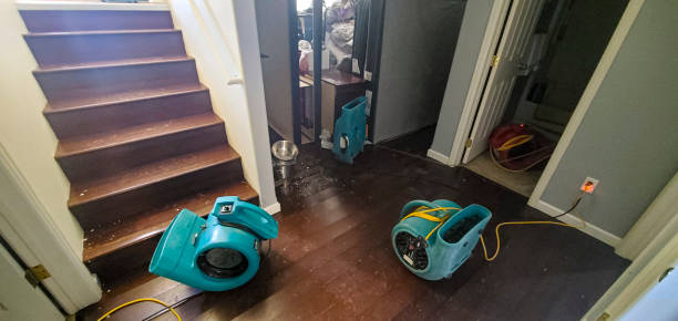 Best Water damage repair service  in USA